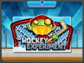 The Hockey Experiment