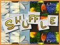  The Shuffle Puzzle