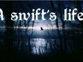 A swift's life 